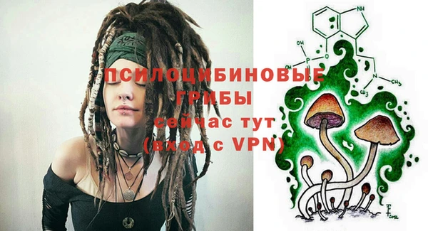 меф Белокуриха