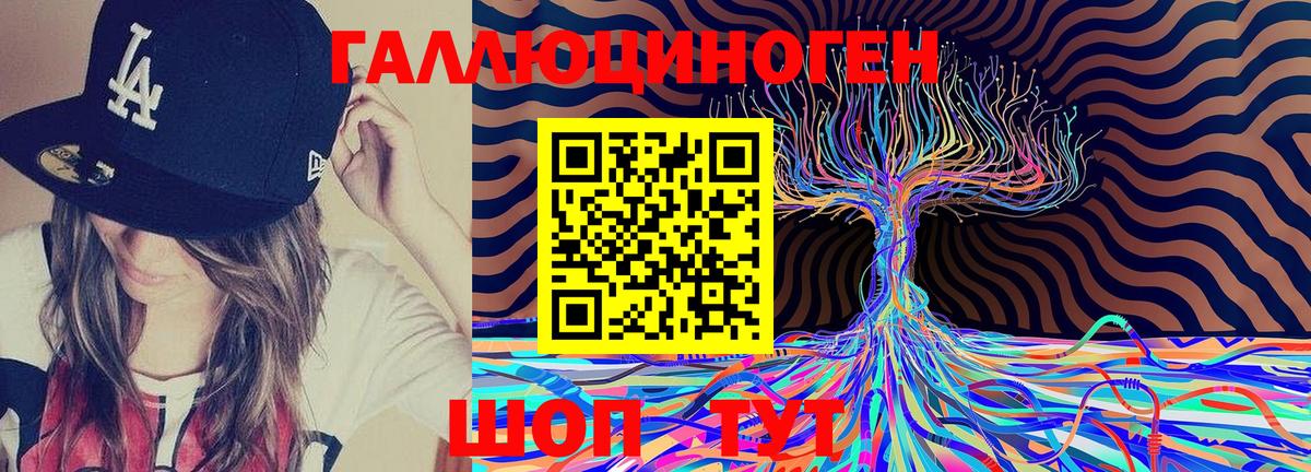 Псилоцибиновые грибы Psilocybine cubensis Губкинский