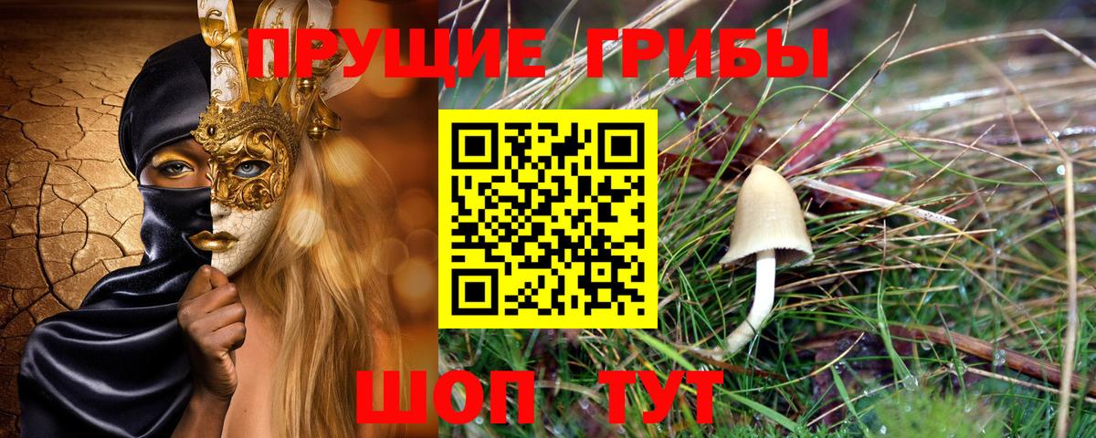 Губкинский  купить наркоту  Галлюциногенные грибы GOLDEN TEACHER  Вход с VPN  Псилоцибиновые грибы мицелий 